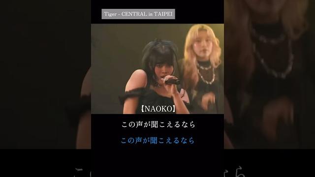 【tiger - central in taipei】 #hana #naoko #shorts 【tiger - central in taipei】 #hana #naoko #shorts