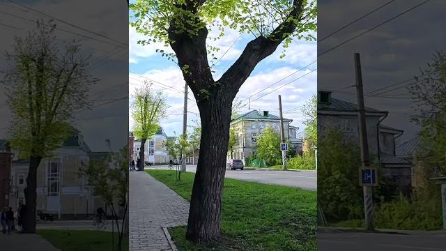 Street tour of kostroma city. russian province. #trips #streettour #russia #may2024 #kostroma #ru Street tour of kostroma city. russian province. #trips #streettour #russia #may2024 #kostroma #ru
