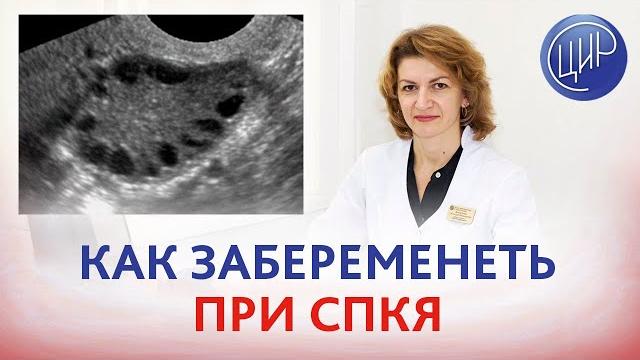 Синдром поликистозных яичников: как забеременеть при спкя и редких овуляциях? миоинозитол. Синдром поликистозных яичников: как забеременеть при спкя и редких овуляциях? миоинозитол.