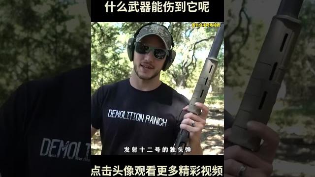 重达25公斤的实心铅块,用什么武器能够伤到它呢?手枪都只能算挠痒痒!#综艺 #解说 #解說 重达25公斤的实心铅块,用什么武器能够伤到它呢?手枪都只能算挠痒痒!#综艺 #解说 #解說