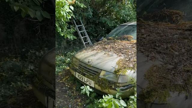 Abandoned car collection #cars #carcollection #barnfind #automobile #explore #explorepage #classic Abandoned car collection #cars #carcollection #barnfind #automobile #explore #explorepage #classic