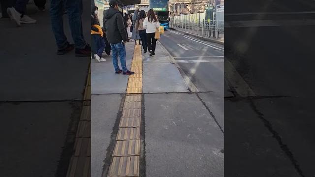 A double decker bus in the city #shorts #bus #travel #seoul #transportation #doubledeckerbus #amaze A double decker bus in the city #shorts #bus #travel #seoul #transportation #doubledeckerbus #amaze