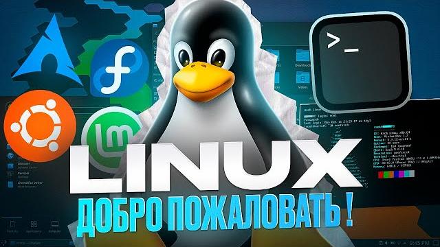 Что такое линукс? гайд + установка Что такое линукс? гайд + установка