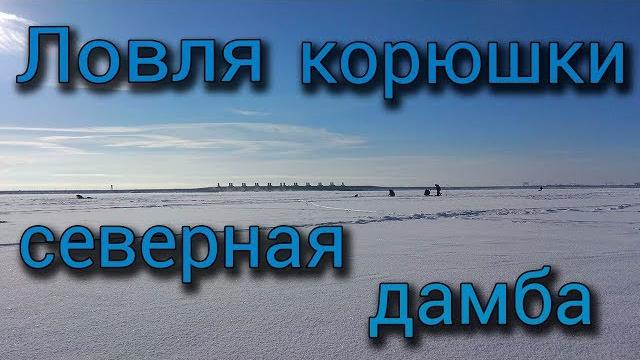 Ловля корюшки северная дамба Ловля корюшки северная дамба
