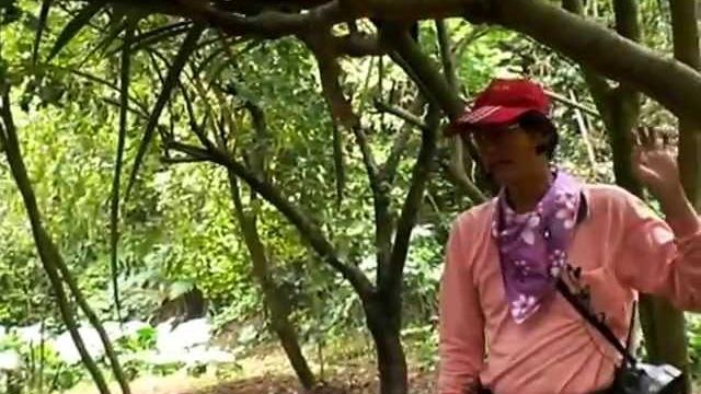 和平幼兒園-桐花祭之遊 (26) 和平幼兒園-桐花祭之遊 (26)