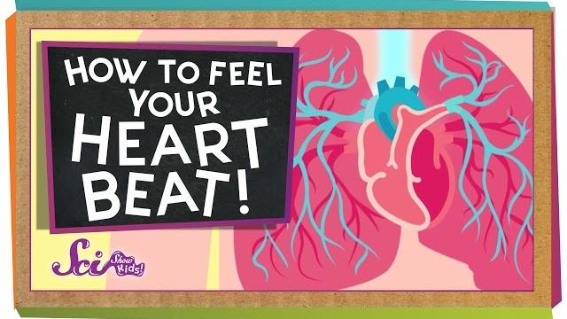 How to feel your heart beat How to feel your heart beat