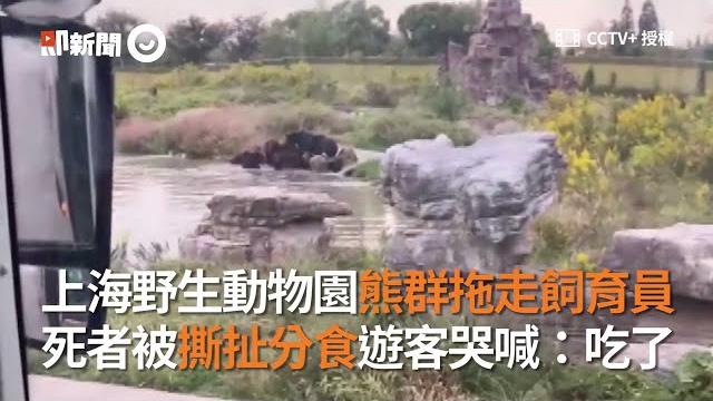 上海野生動物園飼育員遭熊群拖走!被撕扯分食「吃了」|中國大陸|意外|猛獸|2020 上海野生動物園飼育員遭熊群拖走!被撕扯分食「吃了」|中國大陸|意外|猛獸|2020
