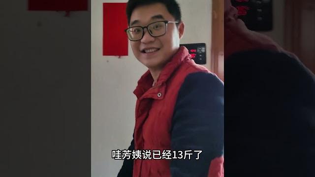 芳姨家的小狗终于出窝了,十几天不见变化好大,未来种公优选 芳姨家的小狗终于出窝了,十几天不见变化好大,未来种公优选