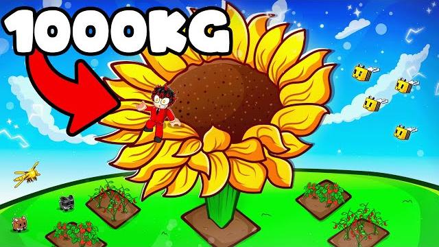 Growing the worlds biggest sunflower using 300+ exotic flower seed packs in roblox grow a garden Growing the worlds biggest sunflower using 300+ exotic flower seed packs in roblox grow a garden