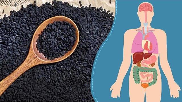 Sedananing foydali xususiyatlari haqida Sedananing foydali xususiyatlari haqida