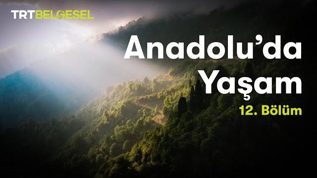 Anadolu'da yaşam | karadeniz bölgesi | trt belgesel Anadolu'da yaşam | karadeniz bölgesi | trt belgesel