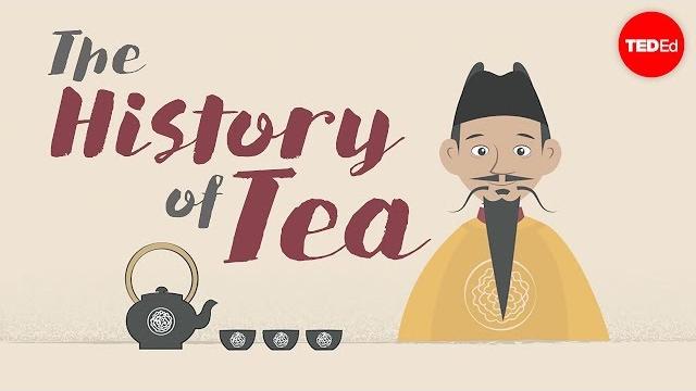 The history of tea - shunan teng The history of tea - shunan teng