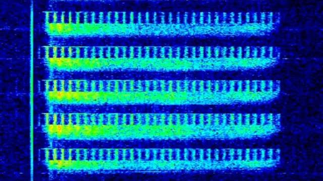 Uvb-76/the buzzer (4625khz) live Uvb-76/the buzzer (4625khz) live