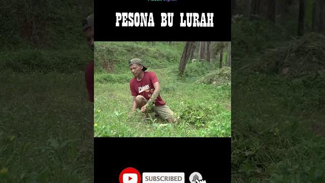 Pesona bu lurah || eps 294 || cerita jawa Pesona bu lurah || eps 294 || cerita jawa