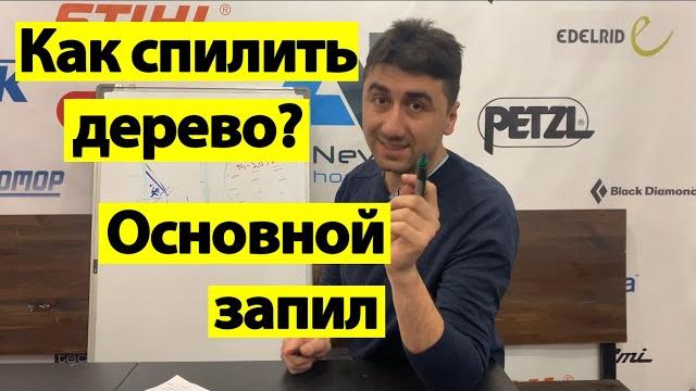 Запил при валке дерева. как спилить дерево? Запил при валке дерева. как спилить дерево?