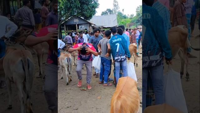 I came to buy a cow.️ I came to buy a cow.️
