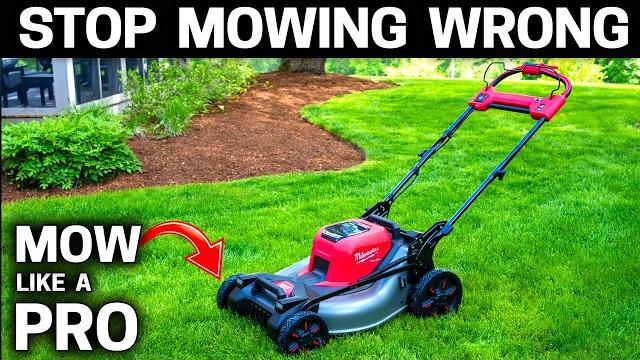 How to mow a lawn correctly How to mow a lawn correctly
