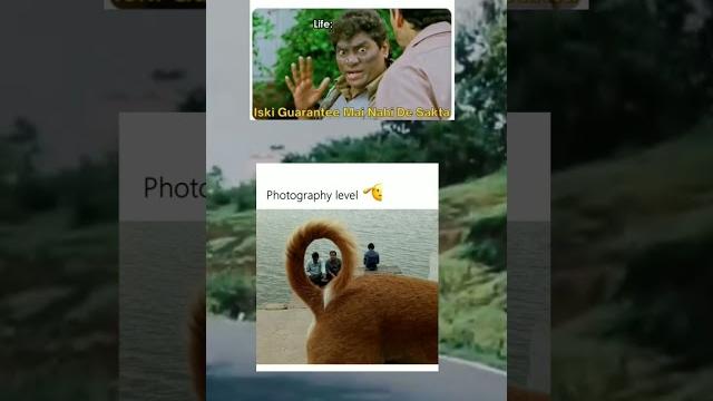 Top-notch memes in a minute: #shortsfun Top-notch memes in a minute: #shortsfun