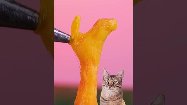 Wow! kucing suka sepatu barbie! Wow! kucing suka sepatu barbie!
