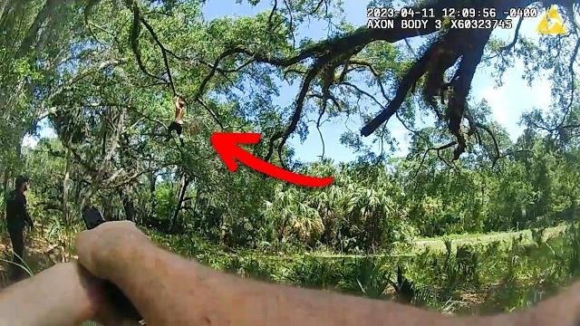 Police vs. tarzan in real life Police vs. tarzan in real life