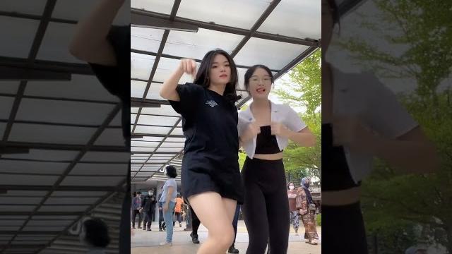 Paprichia nih bos #shorts Paprichia nih bos #shorts