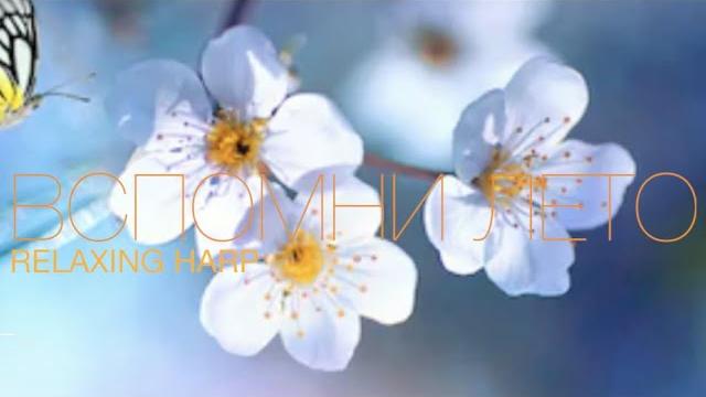 Спокойная музыка для снятия стресса - relaxing piano - music - stress relief music Спокойная музыка для снятия стресса - relaxing piano - music - stress relief music
