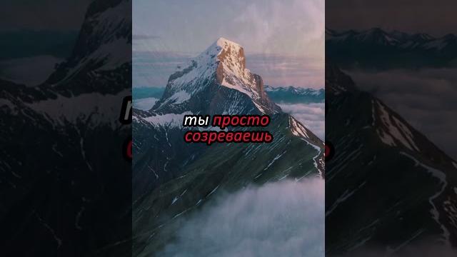 Ты не поздно. ты — вовремя #победитьстресс #внимание #материализациямыслей #победитьстресс Ты не поздно. ты — вовремя #победитьстресс #внимание #материализациямыслей #победитьстресс