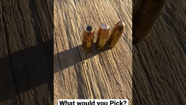 Hollow point flat tip or fmj? Hollow point flat tip or fmj?