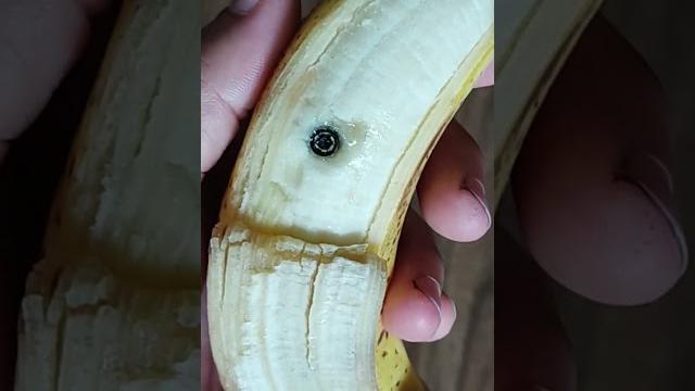 Hidden camera - spy cameras everywhere beware #spy #spycamera #minicamera #hiddencamera #camera Hidden camera - spy cameras everywhere beware #spy #spycamera #minicamera #hiddencamera #camera