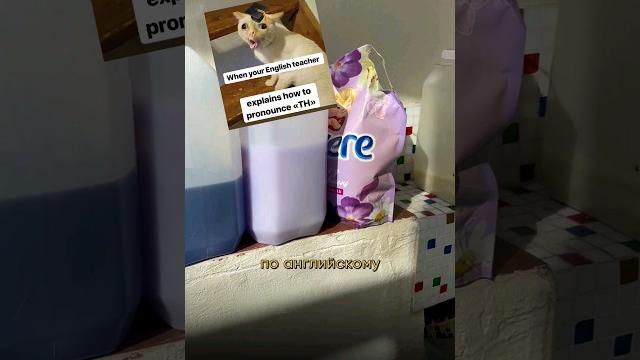 Какой язык в аргентине? испанский, правильно! и ни словечка по-английски, ничего не понятно!) Какой язык в аргентине? испанский, правильно! и ни словечка по-английски, ничего не понятно!)