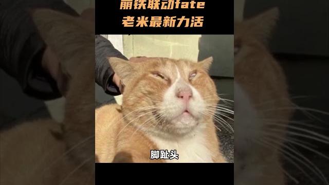 崩铁联动fate,老米最新力活 #崩坏星穹铁道 #二次元 崩铁联动fate,老米最新力活 #崩坏星穹铁道 #二次元