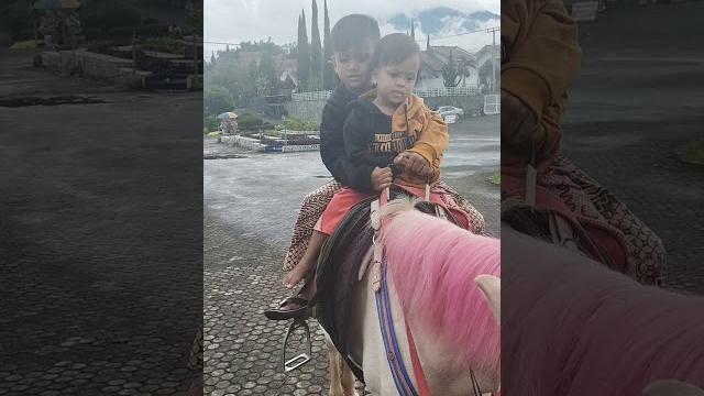 Naik kuda puncak Naik kuda puncak