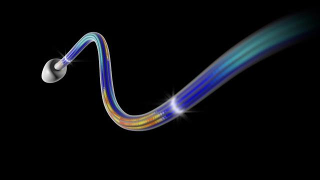 How do cilia and flagella move? How do cilia and flagella move?