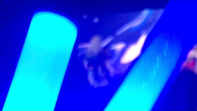 本格的不眠之夜 / white night live 本格的不眠之夜 / white night live