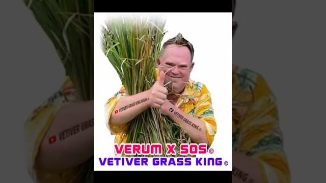 Verum x sos © the fastest growing highest protein biomass in the world global warming solutions Verum x sos © the fastest growing highest protein biomass in the world global warming solutions