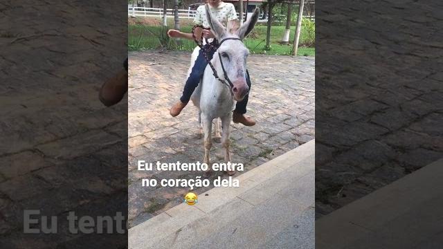 É impossível #shorts É impossível #shorts