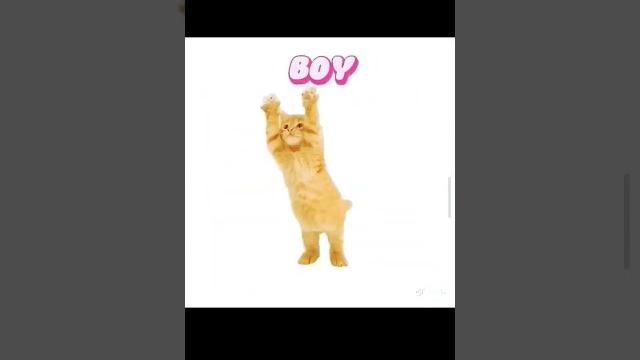Му baby moy Му baby moy