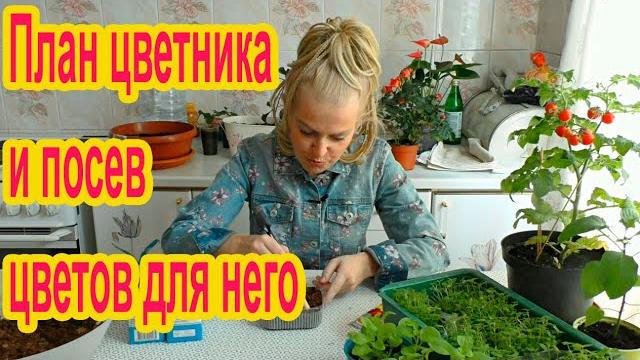 Сеем цветы для цветника Сеем цветы для цветника