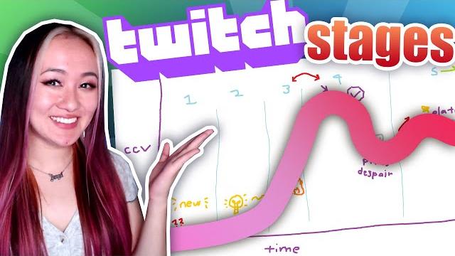 The stages of being a twitch streamer The stages of being a twitch streamer