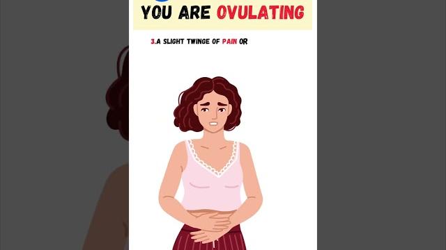 6 signs of ovulation | ovulation symptoms | menstrual cycle 6 signs of ovulation | ovulation symptoms | menstrual cycle