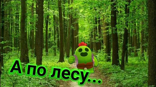А по лесу я иду... А по лесу я иду...
