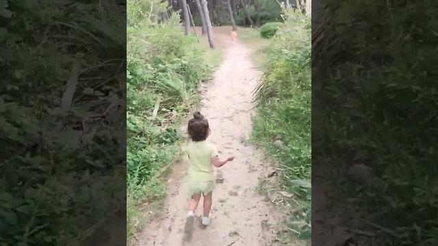 Felix and sofia: run forrest! Felix and sofia: run forrest!