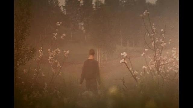 Mother and son 1997 - alexander sokurov Mother and son 1997 - alexander sokurov