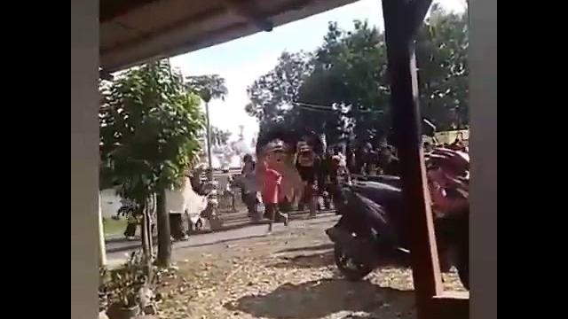 Barongan galak Barongan galak
