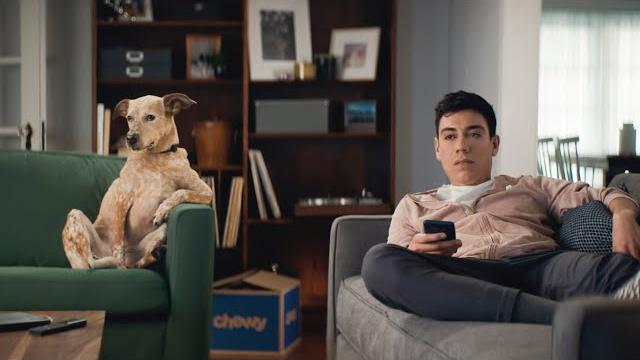 Pets aren't just pets, they're more: best friend | chewy Pets aren't just pets, they're more: best friend | chewy