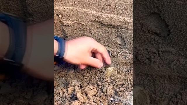 Нашел редкое золото на пляже! #клад #коп #находки #shorts Нашел редкое золото на пляже! #клад #коп #находки #shorts