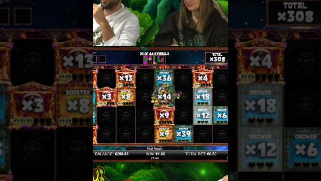 Big win on money mariachi Big win on money mariachi