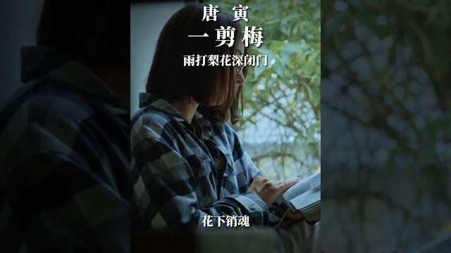 唐寅 一剪梅 雨打梨花深闭门 唐寅 一剪梅 雨打梨花深闭门