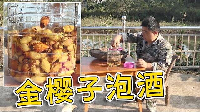胖哥采摘野果金樱子泡酒,做法简单功效好,看完都可以学会【山村胖哥】 胖哥采摘野果金樱子泡酒,做法简单功效好,看完都可以学会【山村胖哥】