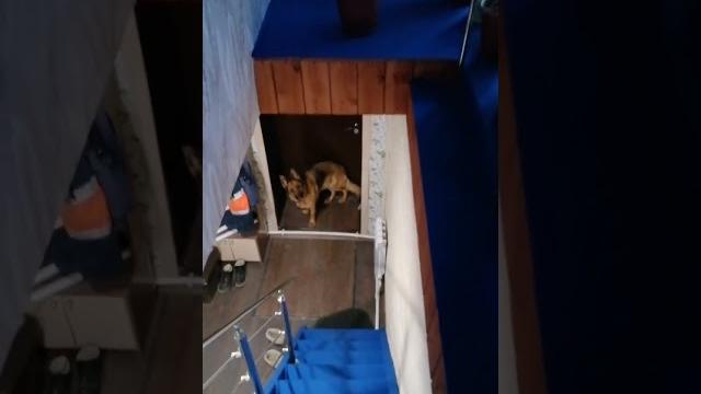Утрозовет гулять Утрозовет гулять